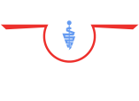логотип Трансмедавиа регион